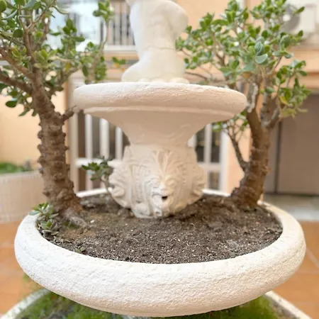 Behappy Apartament Torrevieja